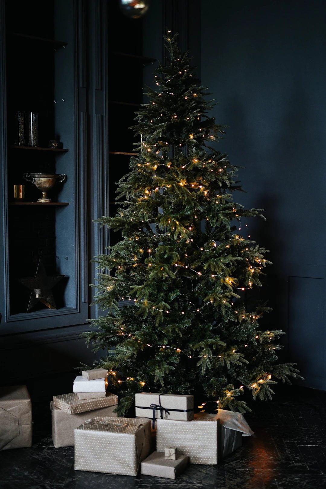 Unforgettable Gifts for the Impossible to Shop For - PetPoy Shop