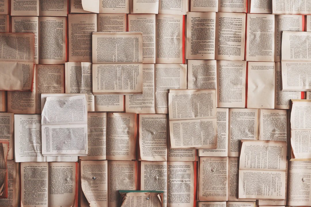 Unique Gifts for Book Lovers: Literary Surprises That Inspire - PetPoy Shop