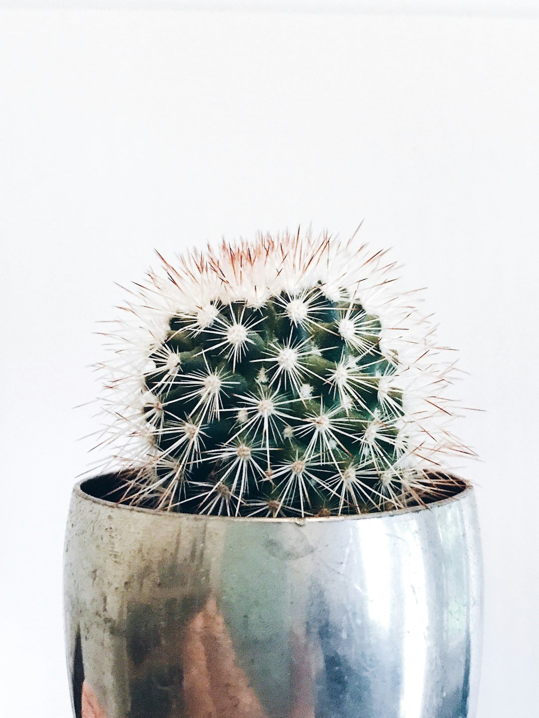 Why Unique Gifts Matter in a Digital Age - PetPoy Shop
