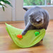 18 Cat Toys Assortments - Teaser Wand, Interactive Bell Toy, Sparkle Balls for Kitten, Puppy, Kitty (With Hide Seek Toy) - PetPoy Shop