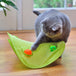 18 Cat Toys Assortments - Teaser Wand, Interactive Bell Toy, Sparkle Balls for Kitten, Puppy, Kitty (With Hide Seek Toy) - PetPoy Shop