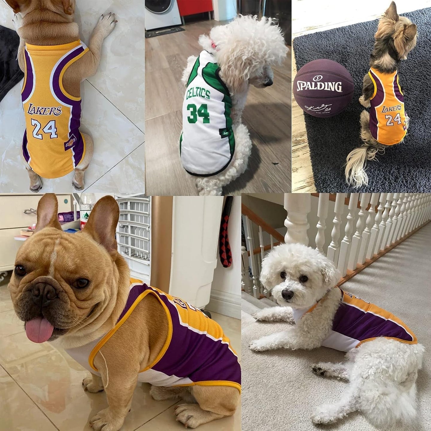 3Pack Dog Clothes for Small Dog Girl Puppy Clothes for Chihuahua Yorkies Bulldog Clothes for Medium Dogs Boy Basketball Jersey Pet Outfits Shirt Apparel Accessories,S - PetPoy Shop