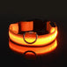 Dog Collar Nylon LED Night Safety Flashing Glow in the Dark Pet Dog Leash Pet Dogs Luminous Fluorescent Dog Accessories Collar - PetPoy Shop