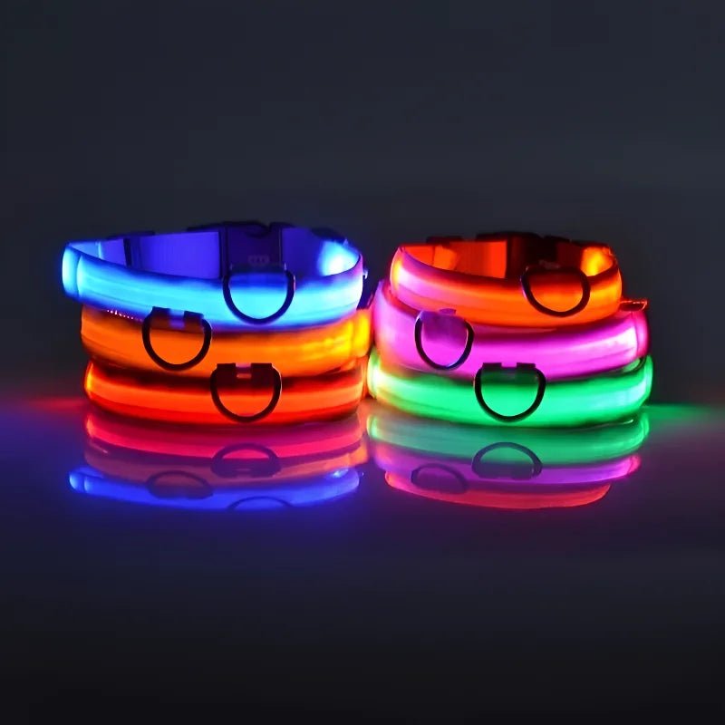 Dog Collar Nylon LED Night Safety Flashing Glow in the Dark Pet Dog Leash Pet Dogs Luminous Fluorescent Dog Accessories Collar - PetPoy Shop
