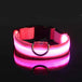 Dog Collar Nylon LED Night Safety Flashing Glow in the Dark Pet Dog Leash Pet Dogs Luminous Fluorescent Dog Accessories Collar - PetPoy Shop