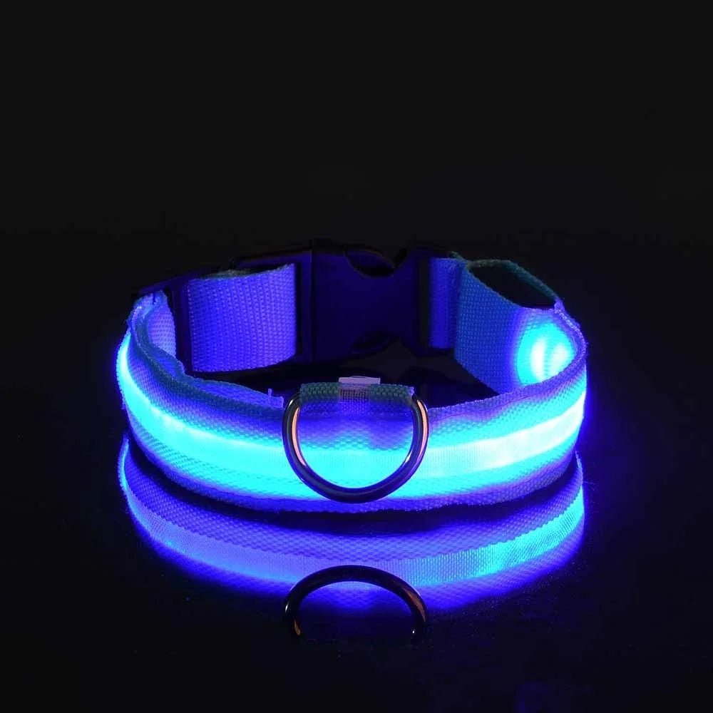Dog Collar Nylon LED Night Safety Flashing Glow in the Dark Pet Dog Leash Pet Dogs Luminous Fluorescent Dog Accessories Collar - PetPoy Shop