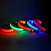 Dog Collar Nylon LED Night Safety Flashing Glow in the Dark Pet Dog Leash Pet Dogs Luminous Fluorescent Dog Accessories Collar - PetPoy Shop