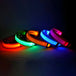 Dog Collar Nylon LED Night Safety Flashing Glow in the Dark Pet Dog Leash Pet Dogs Luminous Fluorescent Dog Accessories Collar - PetPoy Shop