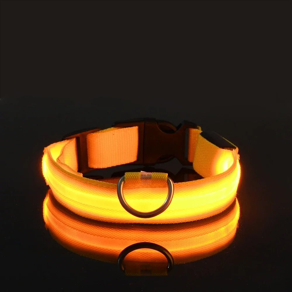 Dog Collar Nylon LED Night Safety Flashing Glow in the Dark Pet Dog Leash Pet Dogs Luminous Fluorescent Dog Accessories Collar - PetPoy Shop