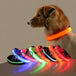Dog Collar Nylon LED Night Safety Flashing Glow in the Dark Pet Dog Leash Pet Dogs Luminous Fluorescent Dog Accessories Collar - PetPoy Shop