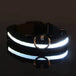Dog Collar Nylon LED Night Safety Flashing Glow in the Dark Pet Dog Leash Pet Dogs Luminous Fluorescent Dog Accessories Collar - PetPoy Shop