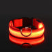 Dog Collar Nylon LED Night Safety Flashing Glow in the Dark Pet Dog Leash Pet Dogs Luminous Fluorescent Dog Accessories Collar - PetPoy Shop