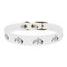 Dog collar - PetPoy Shop