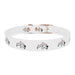 Dog collar - PetPoy Shop
