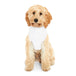 Pet hoodie - PetPoy Shop