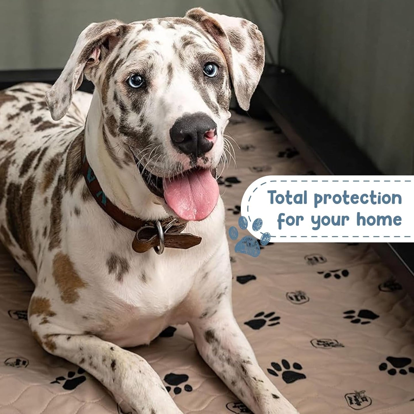 Reusable Dog Pee Pads, Washable Waterproof Mats for Potty Training or Whelping Pads, Puppy Pad with Rounded Corners, 24X36 Inch, 2 Pack - PetPoy Shop