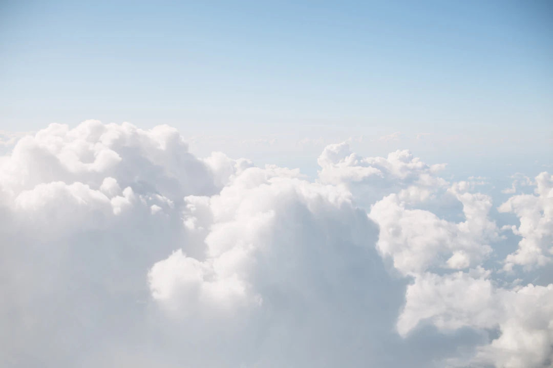 The Impact of Cloud Computing on E-commerce Success