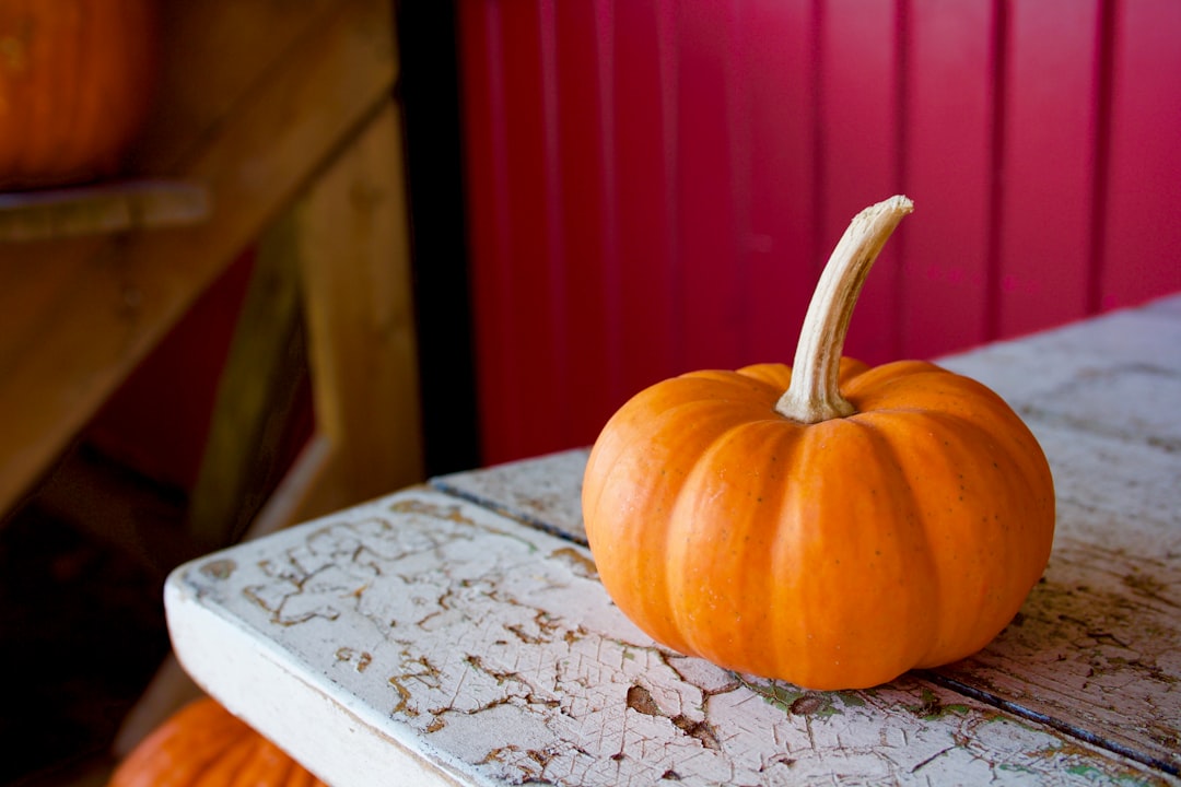 Embrace the Flavors of Fall: Cooking with Seasonal Ingredients