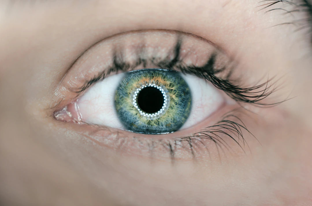 The Importance of Regular Eye Exams for Your Vision