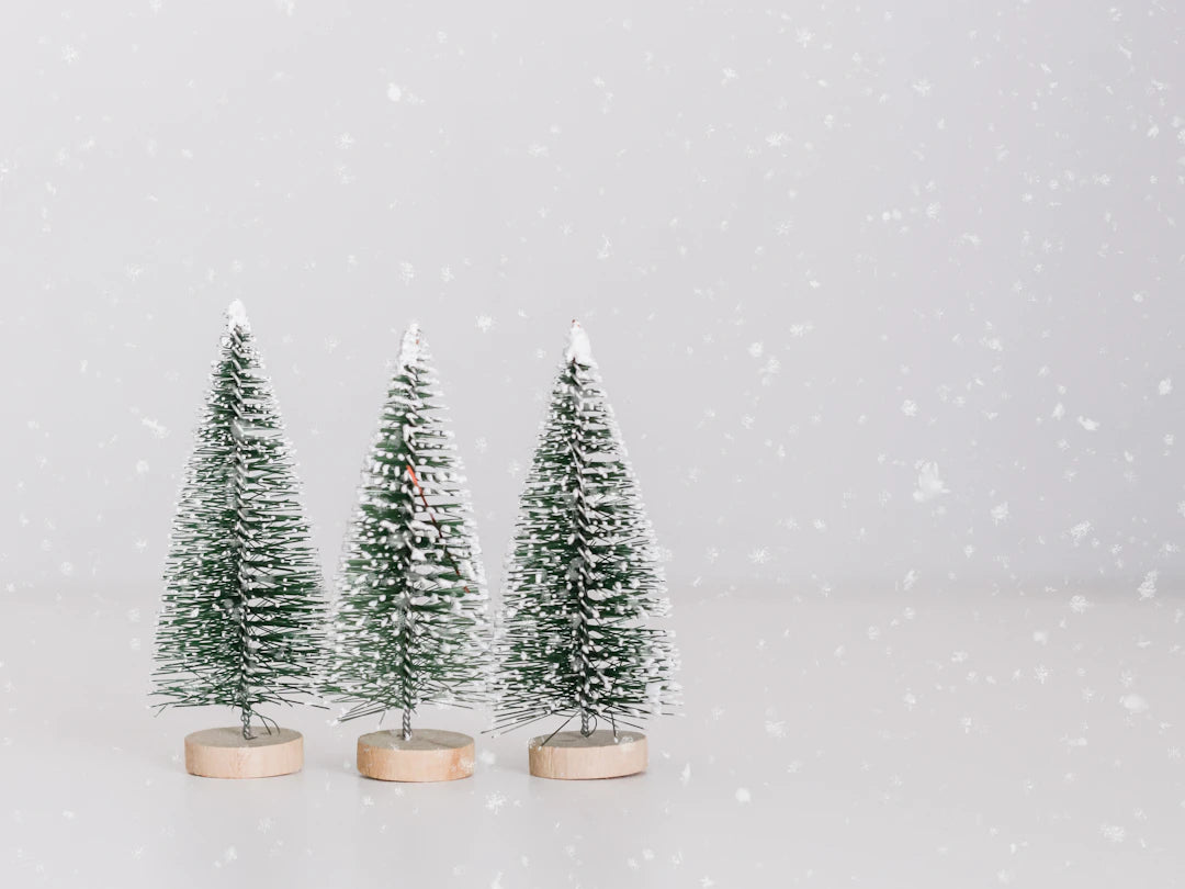 Unique Gift Ideas for Seasonal Changes