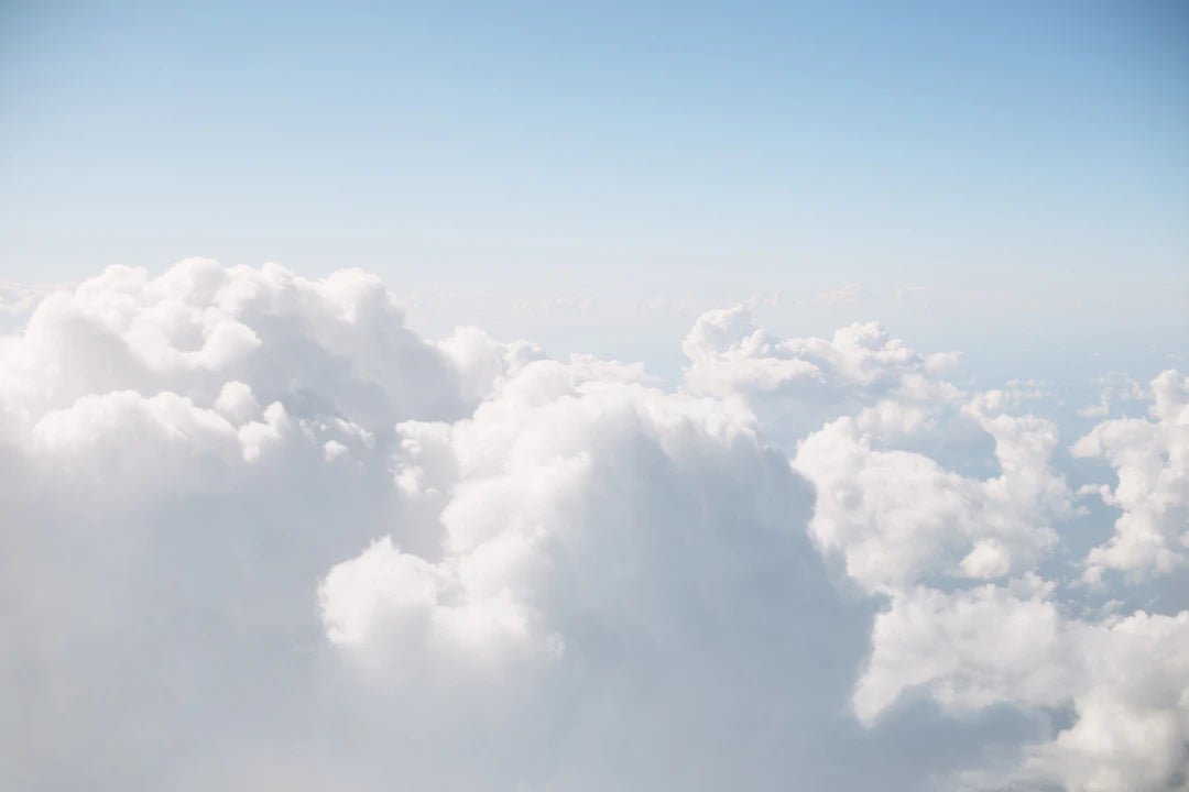 The Impact of Cloud Computing on E-commerce Success - PetPoy Shop