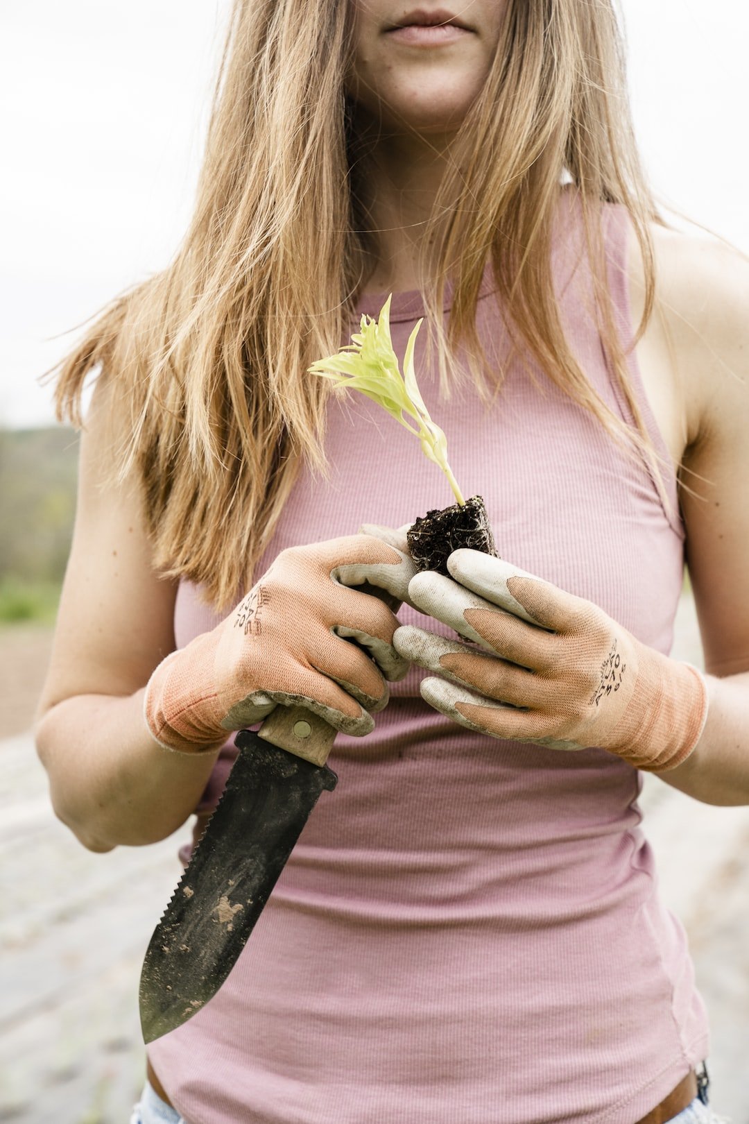 The Revolution of Sustainable General Goods: A Bright Future Ahead - PetPoy Shop