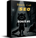 Black Cat SEO.
