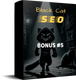 Black Cat SEO.