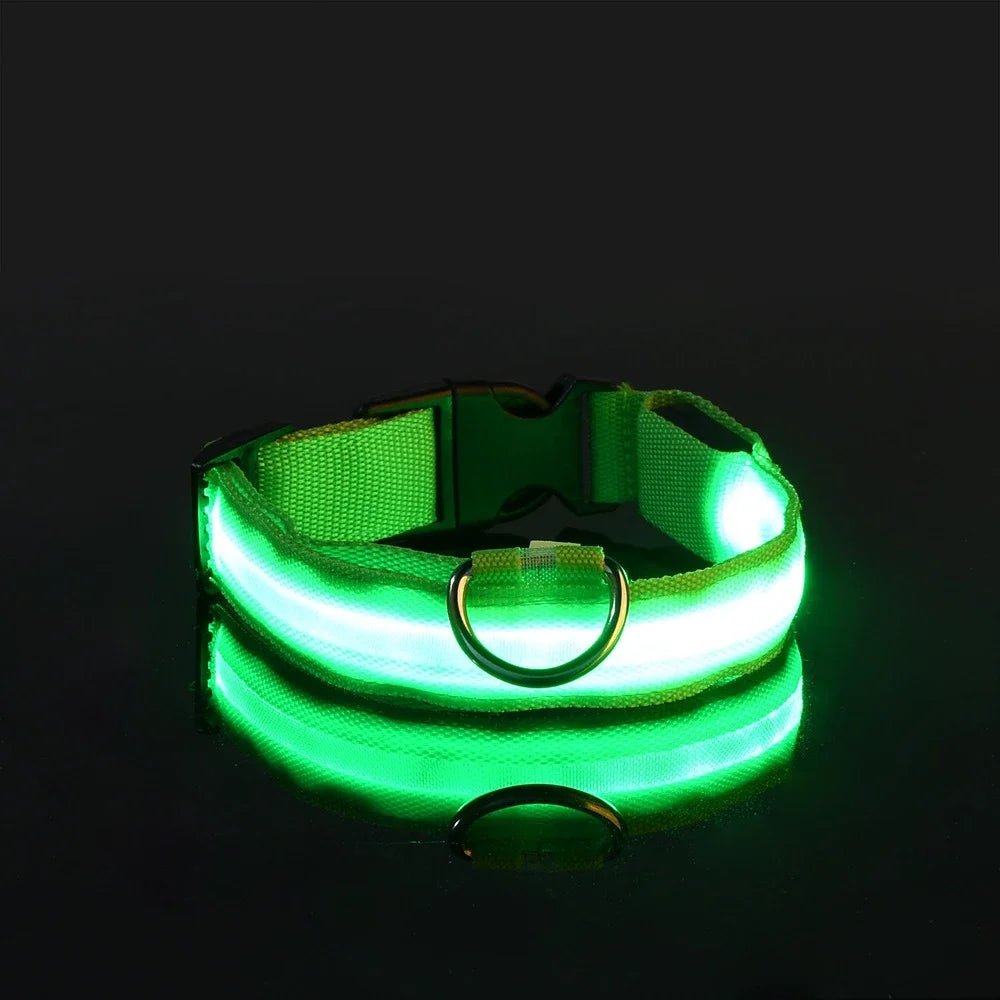 Dog Collar Nylon LED Night Safety Flashing Glow in the Dark Pet Dog Leash Pet Dogs Luminous Fluorescent Dog Accessories Collar - PetPoy Shop