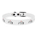 Dog collar - PetPoy Shop