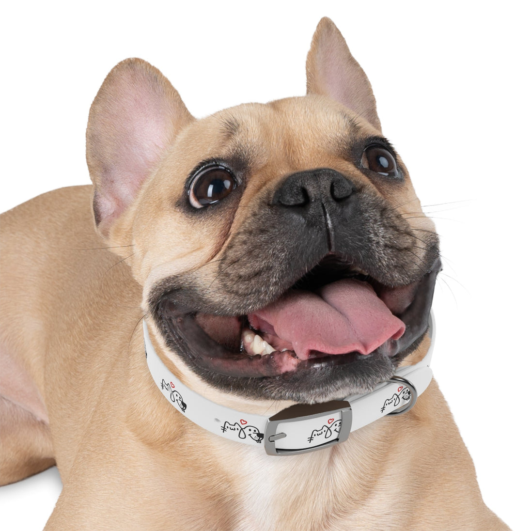 Dog collar - PetPoy Shop