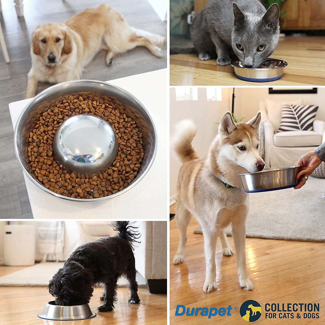 Ourpet'S Durapet Premium Dishwasher Safe Stainless Steel Dog Bowl for Food or Water [Multiple Sizes for Small to Large Dogs] in Traditional or Wide Base Design - 8 CUP - PetPoy Shop