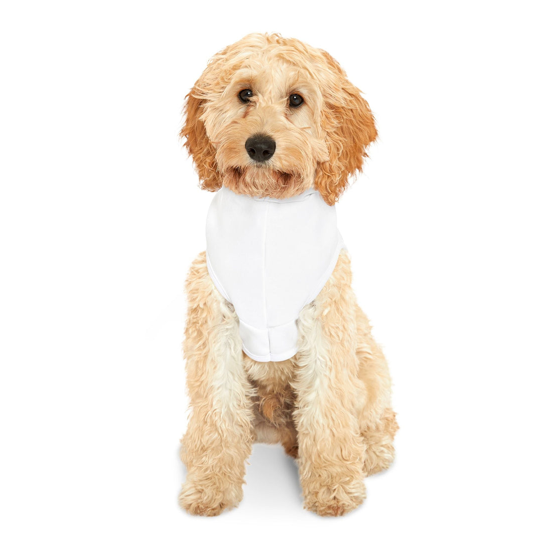 Pet hoodie - PetPoy Shop