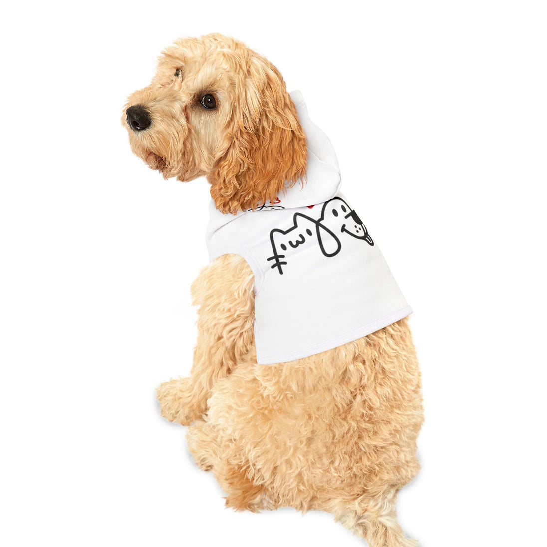 Pet hoodie - PetPoy Shop