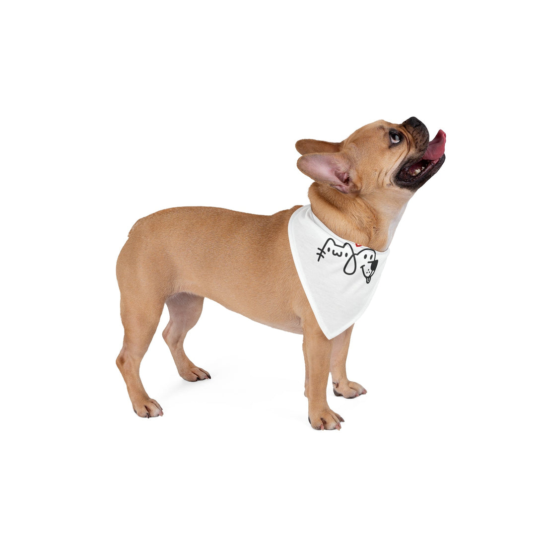 Pet watch bandana - PetPoy Shop