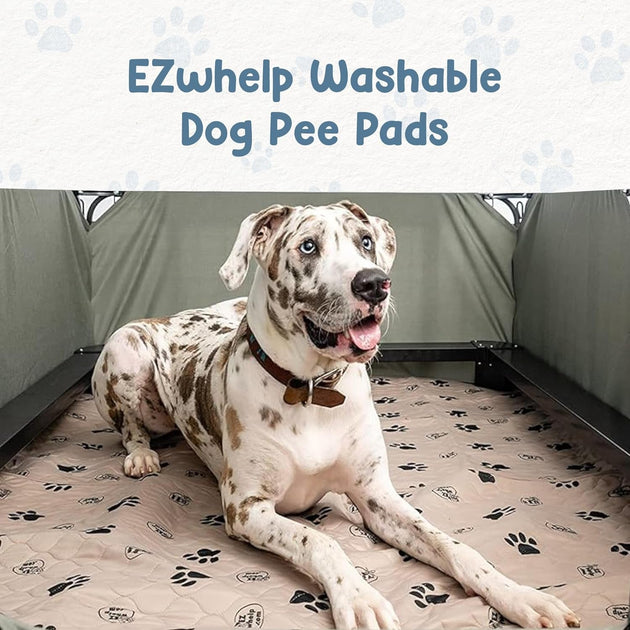Reusable Dog Pee Pads, Washable Waterproof Mats for Potty Training or Whelping Pads, Puppy Pad with Rounded Corners, 24X36 Inch, 2 Pack - PetPoy Shop